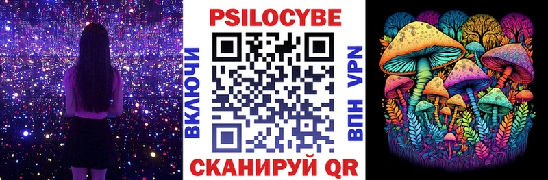 Галлюциногенные грибы Psilocybine cubensis  Пучеж 