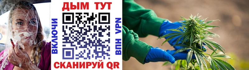 где найти   Пучеж  Конопля планчик 