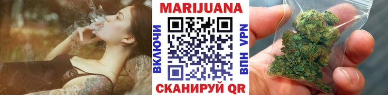 Канабис сатива Пучеж